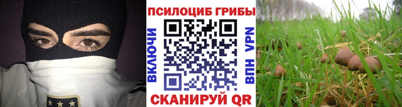 Галлюциногенные грибы MAGIC MUSHROOMS Биробиджан